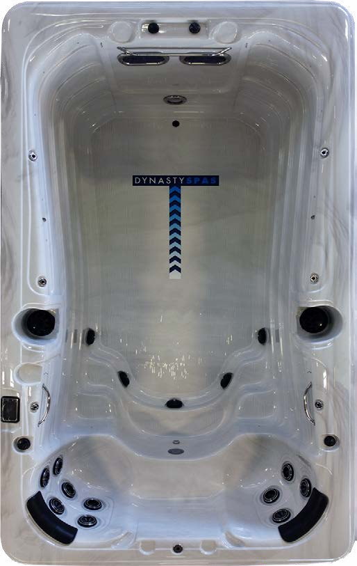 Swim Spas 13' Aquex Pro