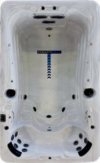 Swim Spas 13' Aquex Pro Plus